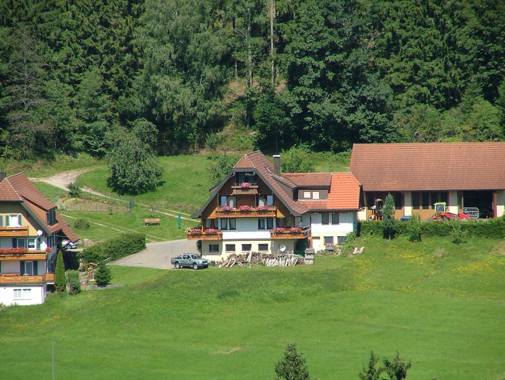 Martina Frey Ferienwohnungen Baiersbronn Extérieur photo